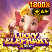 Lucky Elephant X-Huge